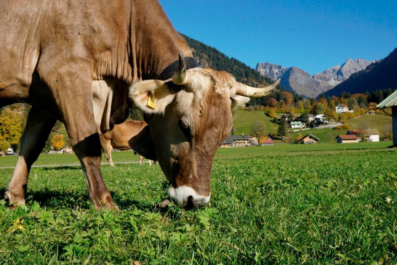 Wiesenblick Oberstdorf Exteriör bild